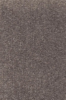 Ковролин AW Promenade 39 фото 1 | FLOORDEALER